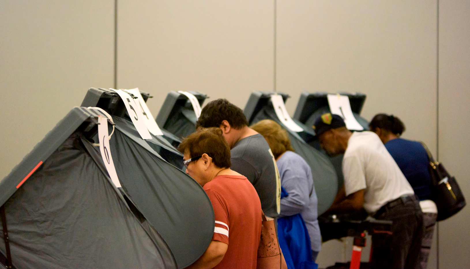 Voters at the polls