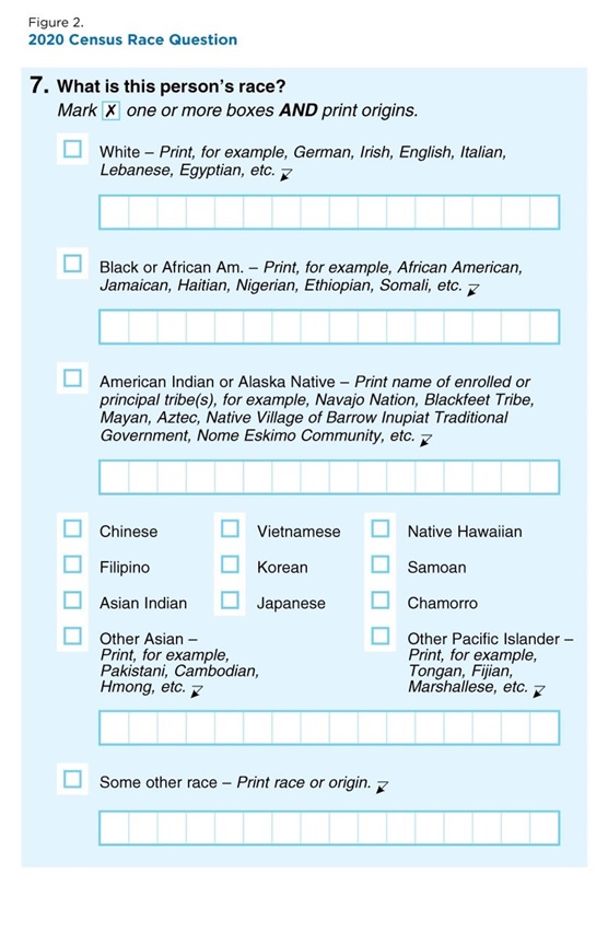 2020 Census Race Question