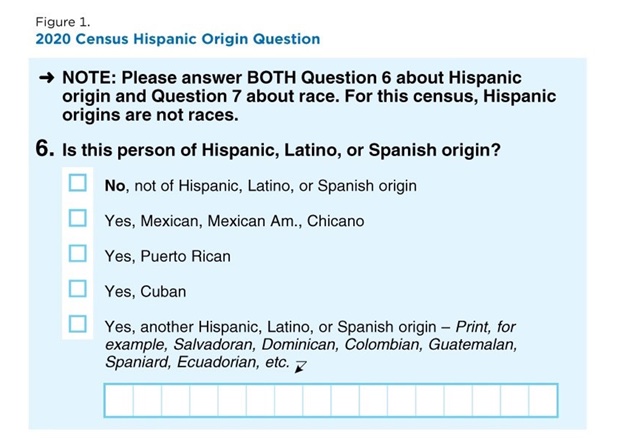 2020 Census Hispanic Origin Question