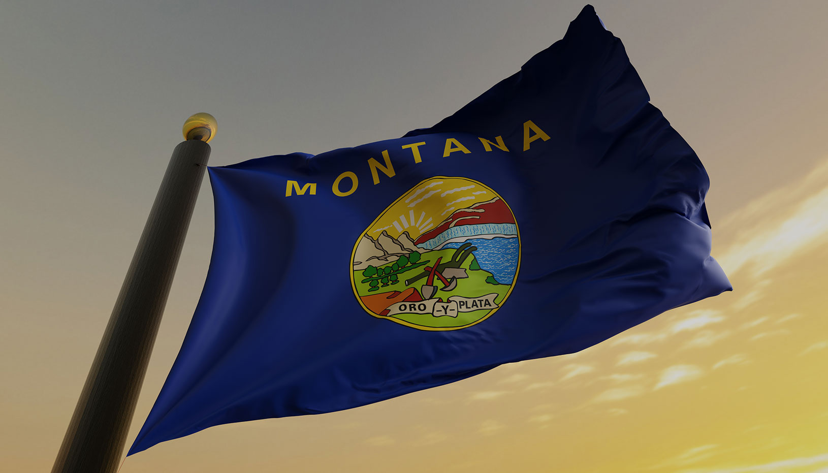 Montana state flag