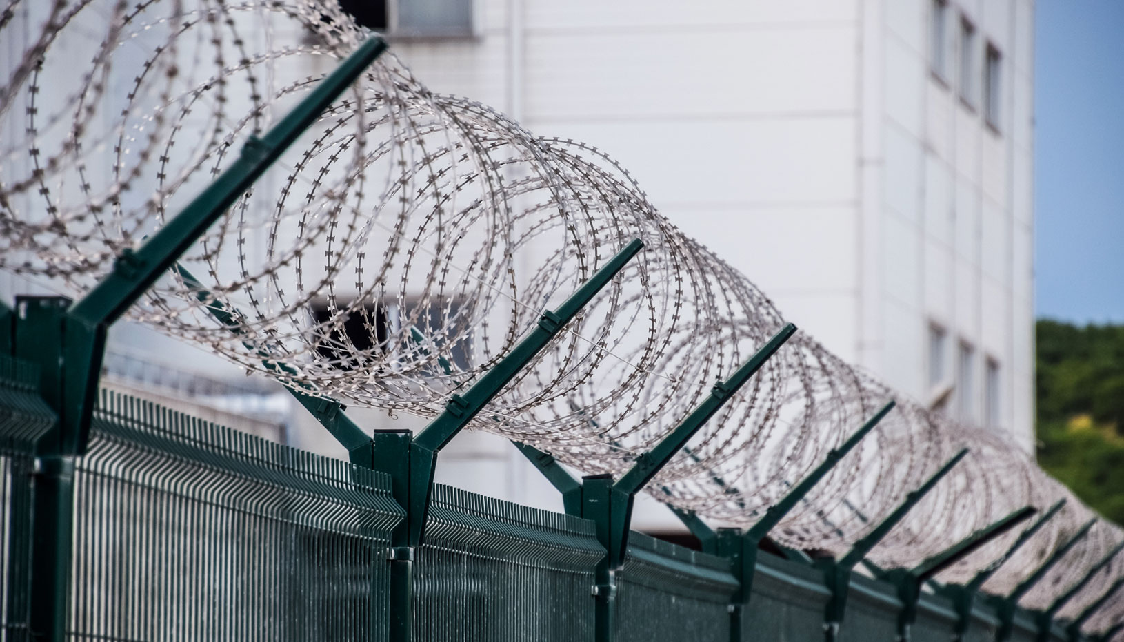 Barbed wire on prison fence