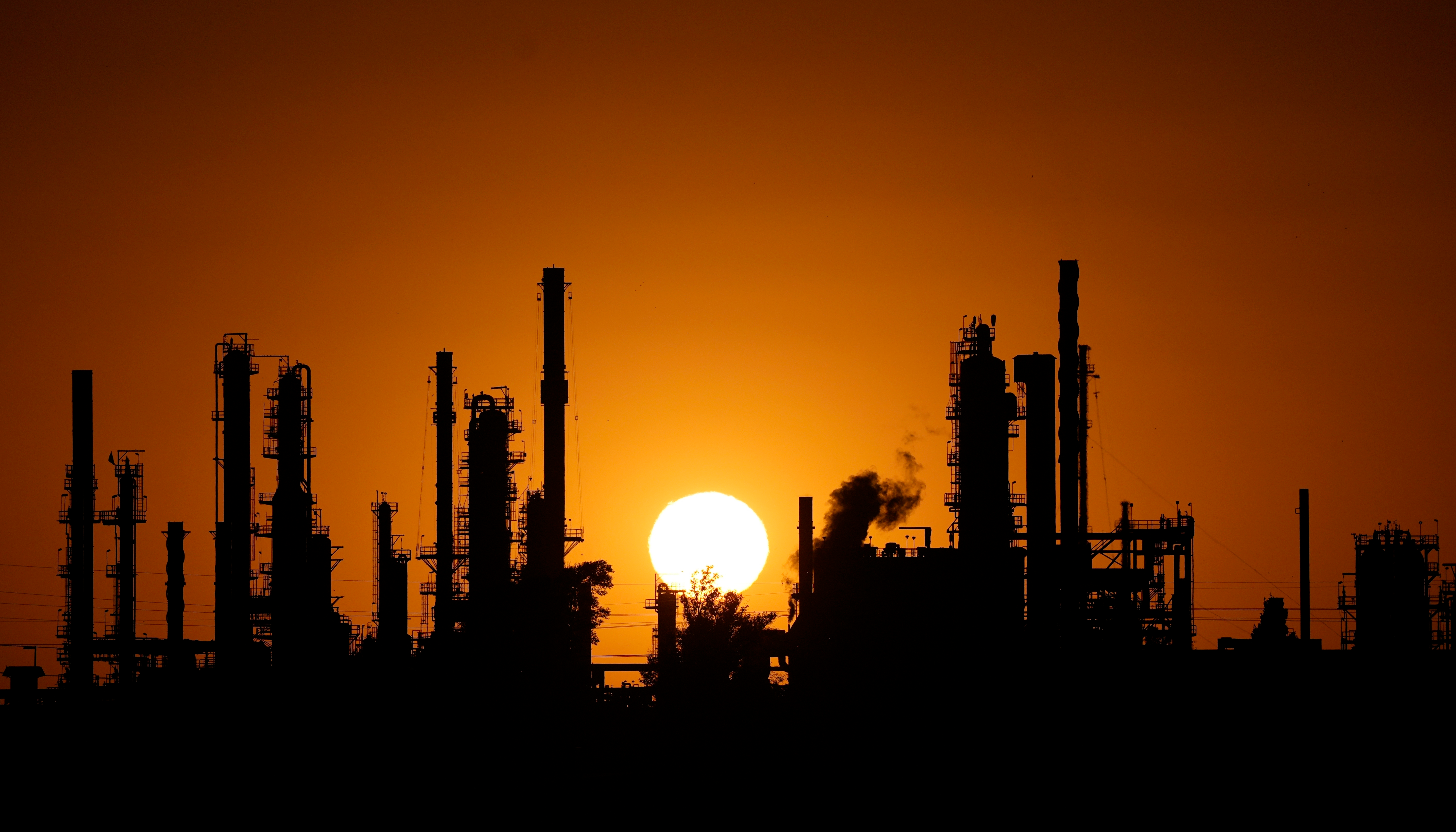 oil