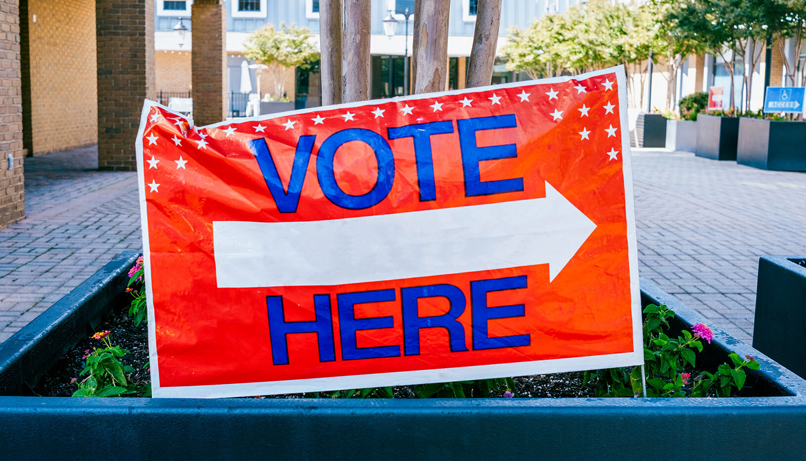 voting