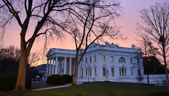 ExpertBrief_Electors