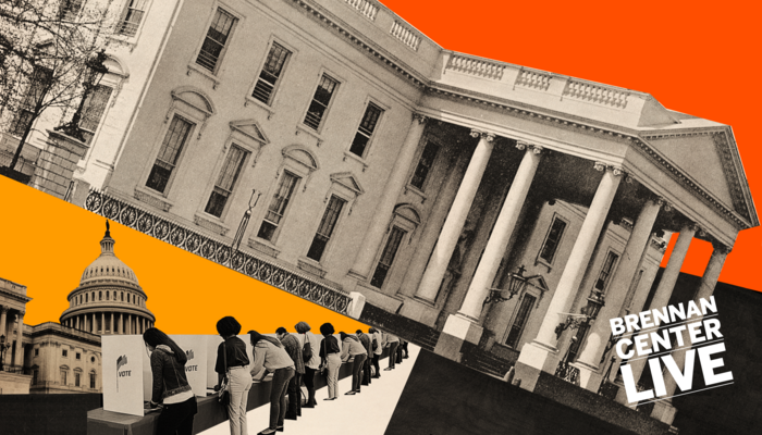 illustration of Congress sideways as people vote