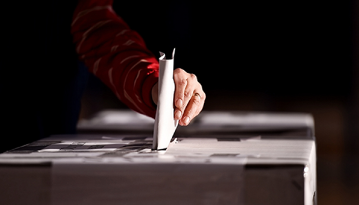 New York Senate Committee to Finally Emerge in Public, but Only to ...