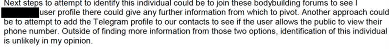 A screenshot of a BRIC analyst's open-source search of the subject's Telegram username revealed the individual as a member of several online bodybuilding groups.