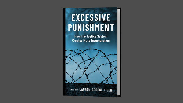 Excessive Punishment book cover