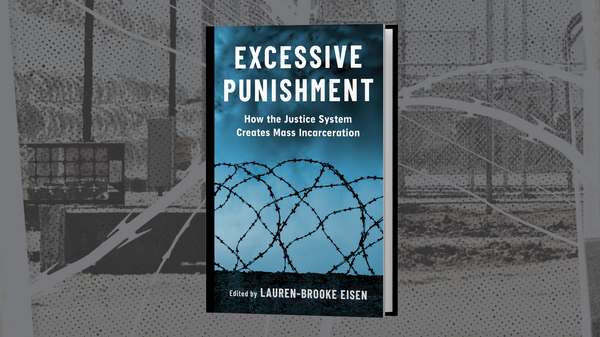 Excessive Punishment book cover