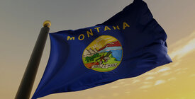 Montana state flag