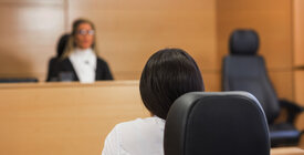 Attorney and judge in immigration court