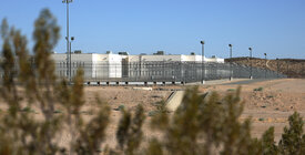 prison and fence with plants in foreground