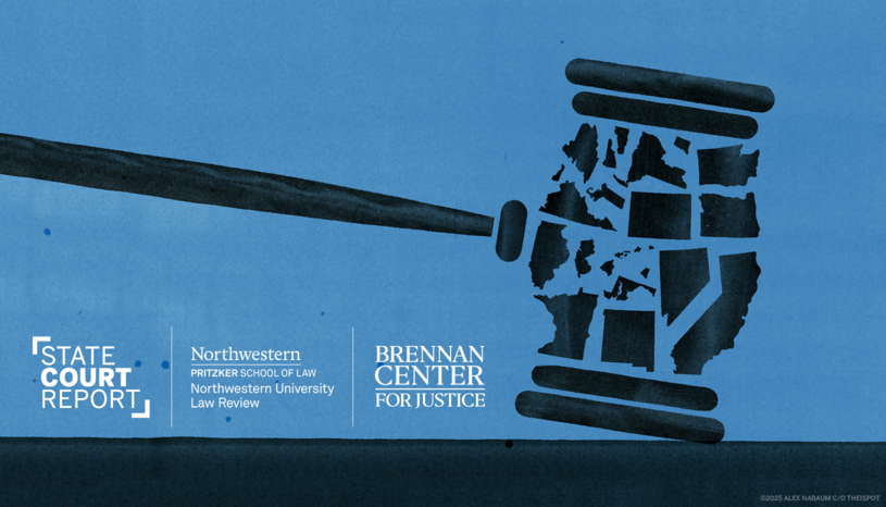 a graphic of a gavel made up of multiple states