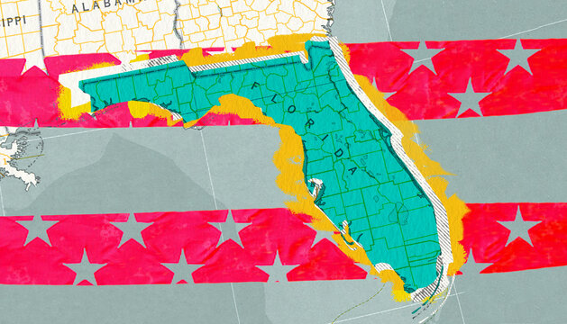 Illustration featuring the state of Florida