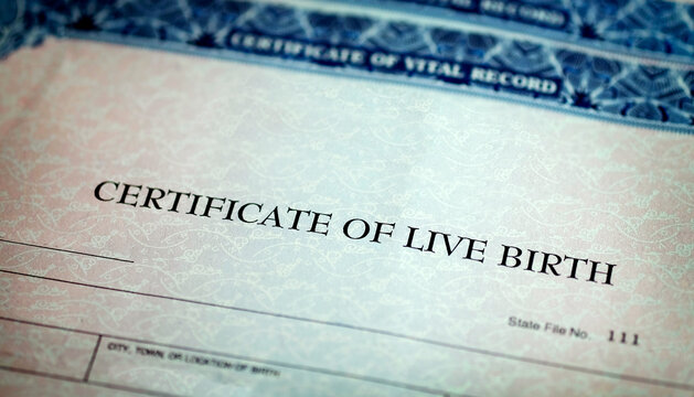 Blank birth certificate