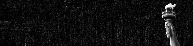 Democracy Can't Wait banner