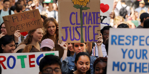 Democracy Reform and the Climate Crisis