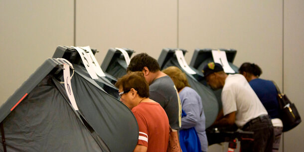 Voters at the polls