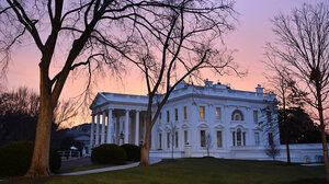 ExpertBrief_Electors