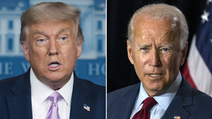 trump and biden
