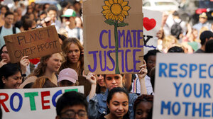 Democracy Reform and the Climate Crisis