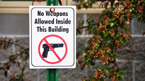 gun