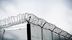Fence with barbed wire