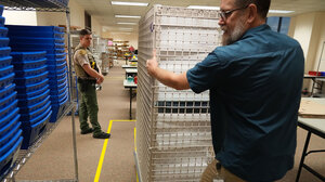 Election worker at a polling place