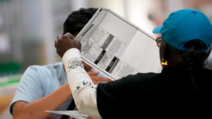 Person handling ballot